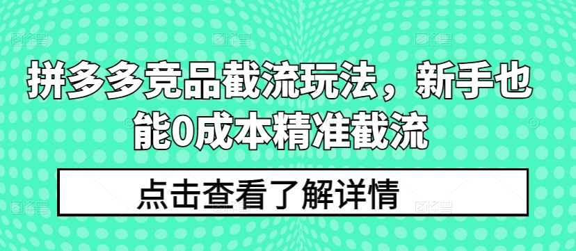 拼多多竞品截流玩法，新手也能0成本精准截流_海蓝资源库