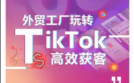 外贸工厂玩转TikTok高效获客，多种引流方式与账号定位技巧，拆解爆款短视频打造成功案例_海蓝资源库