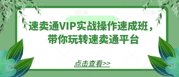 速卖通VIP实战操作速成班，带你玩转速卖通平台_海蓝资源库