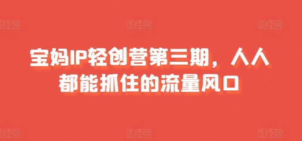 宝妈IP轻创营第三期，人人都能抓住的流量风口_海蓝资源库