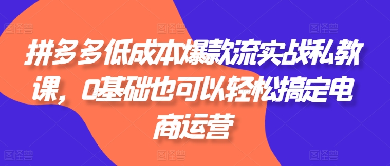 拼多多低成本爆款流实战私教课，0基础也可以轻松搞定电商运营_海蓝资源库