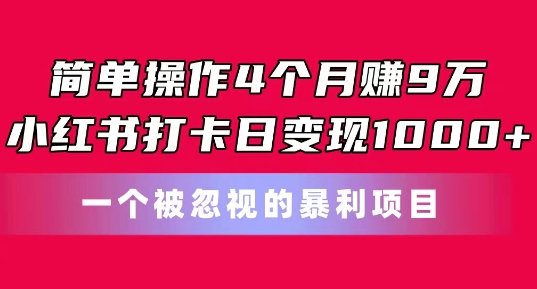 简单操作4个月赚9w，小红书打卡日变现1k，一个被忽视的暴力项目【揭秘】_海蓝资源库