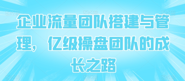 企业流量团队搭建与管理，亿级操盘团队的成长之路_海蓝资源库