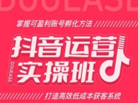 抖音运营实操班，掌握可盈利账号孵化方法，打造高效低成本获客系统_海蓝资源库