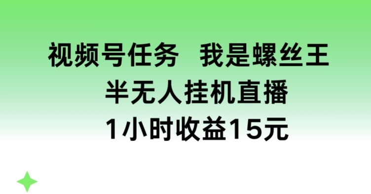 视频号任务，我是螺丝王， 半无人挂机1小时收益15元【揭秘】_海蓝资源库