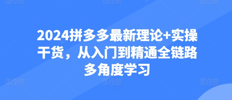 2024拼多多最新理论+实操干货，从入门到精通全链路多角度学习_海蓝资源库