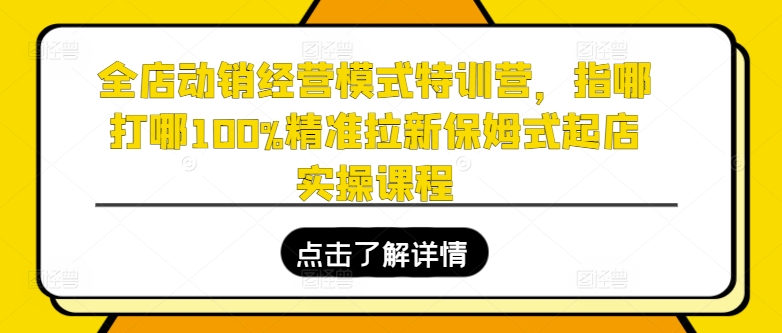 全店动销经营模式特训营，指哪打哪100%精准拉新保姆式起店实操课程_海蓝资源库