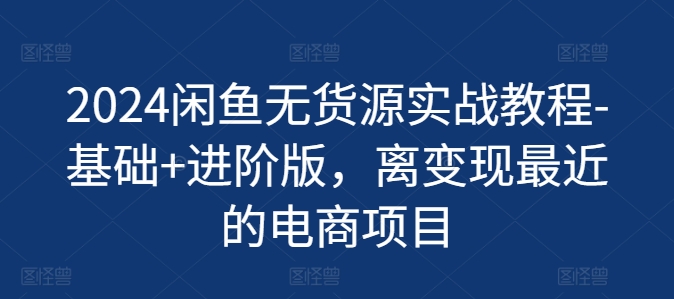 2024闲鱼无货源实战教程-基础+进阶版，离变现最近的电商项目_海蓝资源库