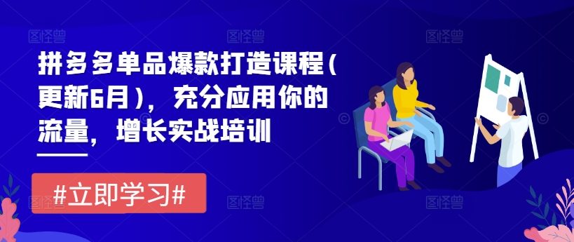 拼多多单品爆款打造课程(更新6月)，充分应用你的流量，增长实战培训_海蓝资源库