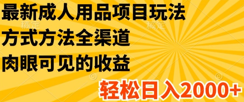 最新成人用品项目玩法，方式方法全渠道，轻松日入2K+【揭秘】_海蓝资源库