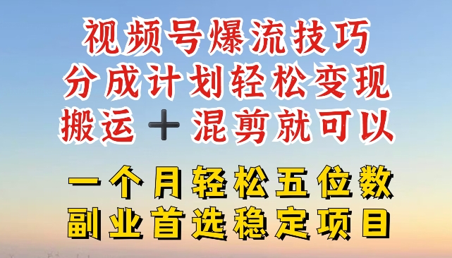 视频号爆流技巧，分成计划轻松变现，搬运 +混剪就可以，一个月轻松五位数稳定项目【揭秘】_海蓝资源库