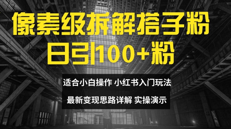 像素级拆解搭子粉，日引100+，小白看完可上手，最新变现思路详解【揭秘】_海蓝资源库