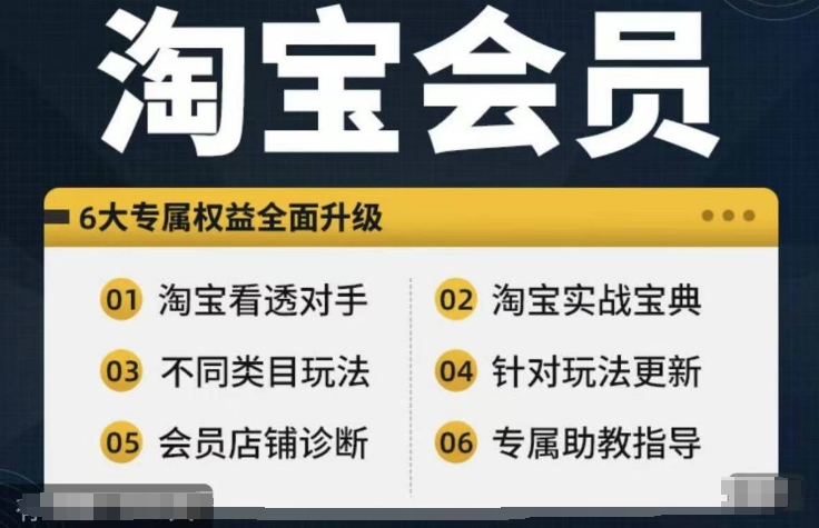 淘宝会员【淘宝所有课程，全面分析对手】，初级到高手全系实战宝典_海蓝资源库