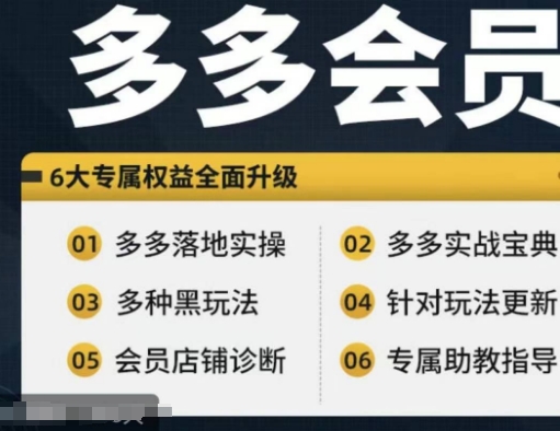 拼多多会员，拼多多实战宝典+实战落地实操，从新手到高阶内容全面覆盖_海蓝资源库