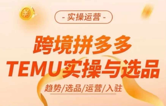 跨境拼多多TEMU实操与选品，多多temu跨境选品运营实操_海蓝资源库