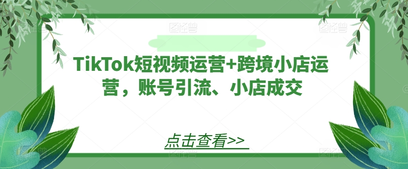 TikTok短视频运营+跨境小店运营，账号引流、小店成交_海蓝资源库