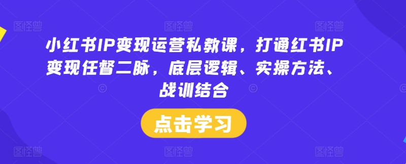 小红书IP变现运营私教课，打通红书IP变现任督二脉，底层逻辑、实操方法、战训结合_海蓝资源库