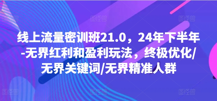 线上流量密训班21.0，24年下半年-无界红利和盈利玩法，终极优化/无界关键词/无界精准人群_海蓝资源库