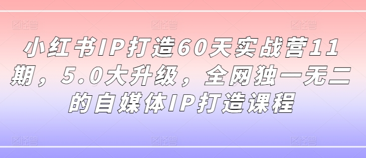 小红书IP打造60天实战营11期，5.0大升级，全网独一无二的自媒体IP打造课程_海蓝资源库