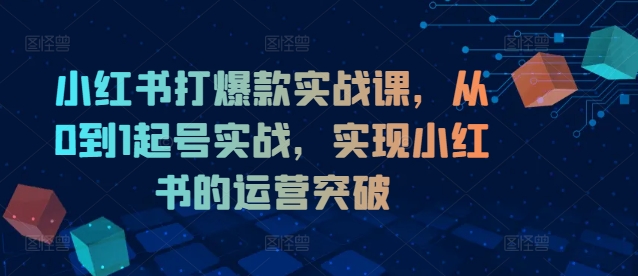 小红书打爆款实战课，从0到1起号实战，实现小红书的运营突破_海蓝资源库