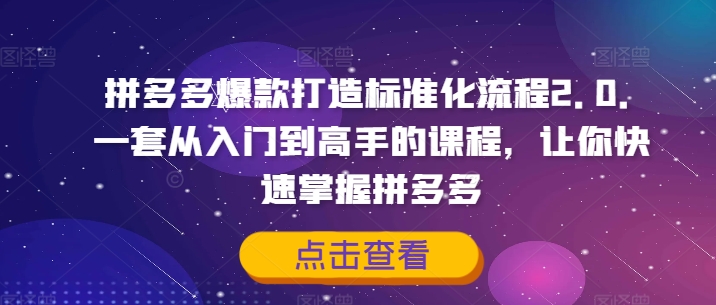 拼多多爆款打造标准化流程2.0，一套从入门到高手的课程，让你快速掌握拼多多_海蓝资源库