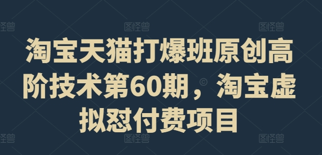 淘宝天猫打爆班原创高阶技术第60期，淘宝虚拟怼付费项目_海蓝资源库