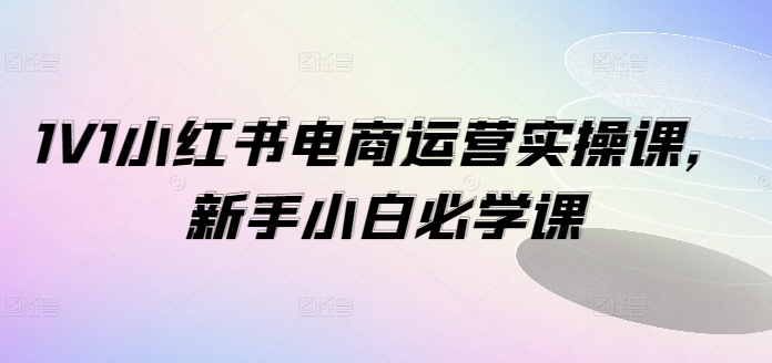 1V1小红书电商运营实操课，新手小白必学课_海蓝资源库