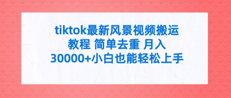 tiktok最新风景视频搬运教程 简单去重 月入3W+小白也能轻松上手【揭秘】_海蓝资源库