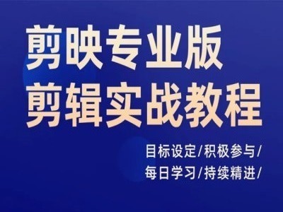 剪映专业版剪辑实战教程，目标设定/积极参与/每日学习/持续精进_海蓝资源库