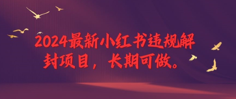 2024最新小红书违规解封项目，长期可做，一个可以做到退休的项目【揭秘】_海蓝资源库