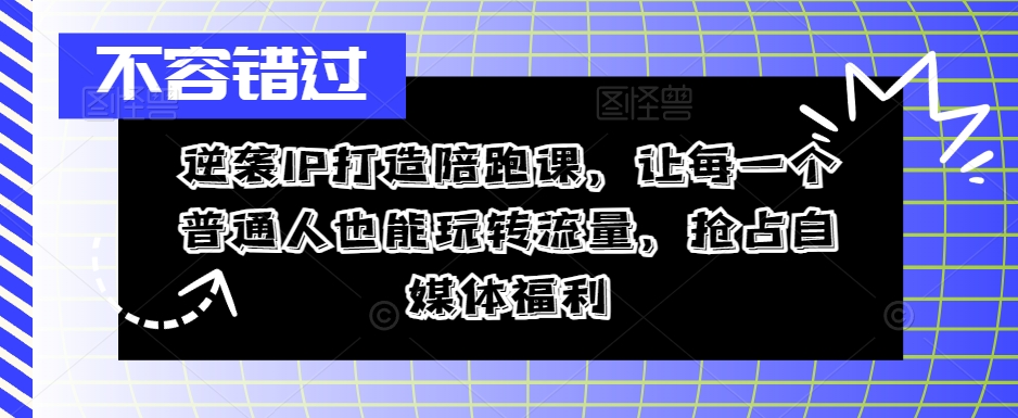 逆袭IP打造陪跑课，让每一个普通人也能玩转流量，抢占自媒体福利_海蓝资源库