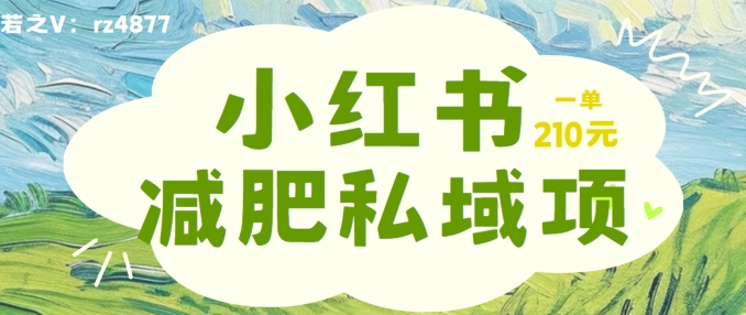 小红书减肥粉，私域变现项目，一单就达210元，小白也能轻松上手【揭秘】_海蓝资源库