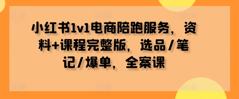 小红书1v1电商陪跑服务，资料+课程完整版，选品/笔记/爆单，全案课_海蓝资源库