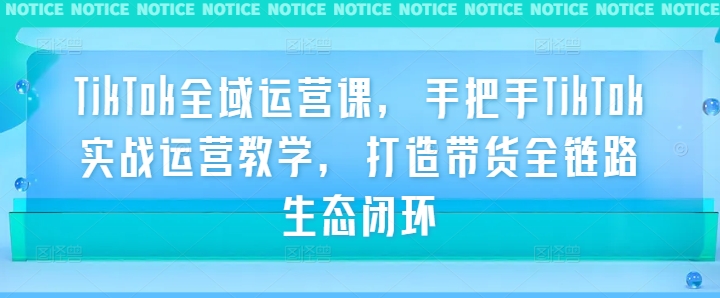 TikTok全域运营课，手把手TikTok实战运营教学，打造带货全链路生态闭环_海蓝资源库