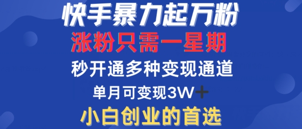 快手暴力起万粉，涨粉只需一星期，多种变现模式，直接秒开万合，单月变现过W【揭秘】_海蓝资源库