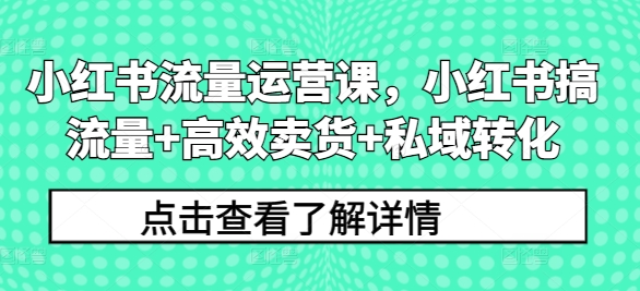 小红书流量运营课，小红书搞流量+高效卖货+私域转化_海蓝资源库