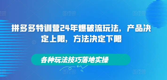 拼多多特训营24年爆破流玩法，产品决定上限，方法决定下限，各种玩法技巧落地实操_海蓝资源库