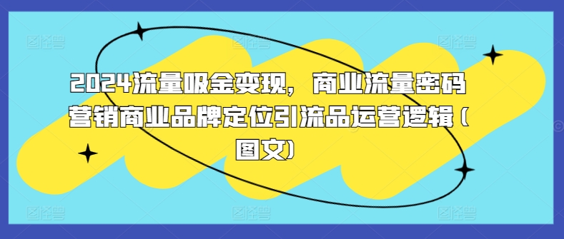 2024流量吸金变现，商业流量密码营销商业品牌定位引流品运营逻辑(图文)_海蓝资源库