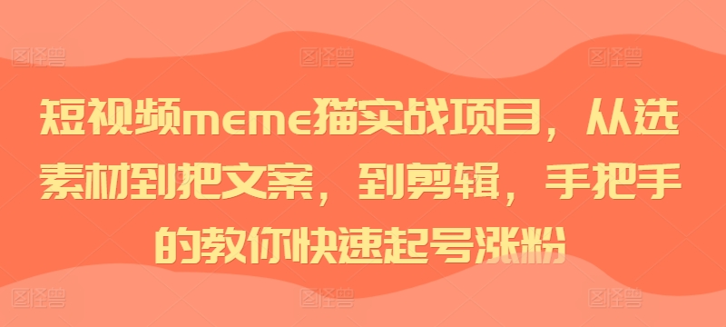 短视频meme猫实战项目，从选素材到把文案，到剪辑，手把手的教你快速起号涨粉_海蓝资源库