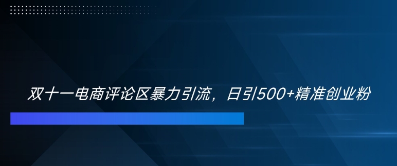 双十一电商评论区暴力引流，日引500+精准创业粉【揭秘】_海蓝资源库