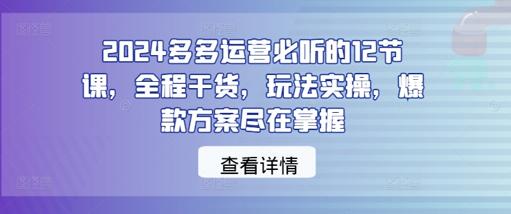 2024多多运营必听的12节课，全程干货，玩法实操，爆款方案尽在掌握_海蓝资源库