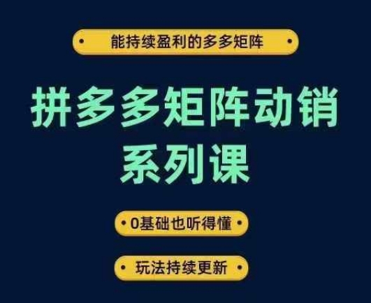 拼多多矩阵动销系列课，能持续盈利的多多矩阵，0基础也听得懂，玩法持续更新_海蓝资源库