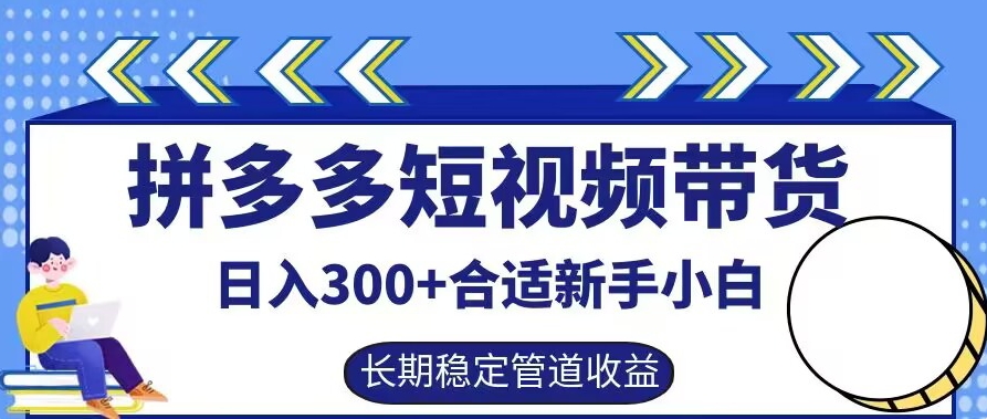 拼多多短视频带货日入300+有长期稳定被动收益，合适新手小白【揭秘】_海蓝资源库