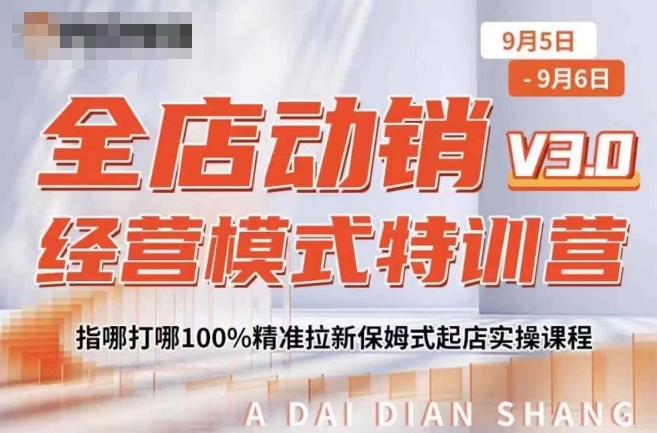 全店动销经营模式特训营，指哪打哪100%精准拉新保姆式起店实操课程_海蓝资源库