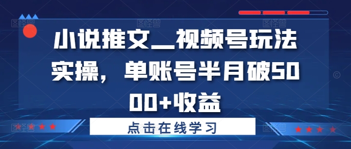 小说推文—视频号玩法实操，单账号半月破5000+收益_海蓝资源库