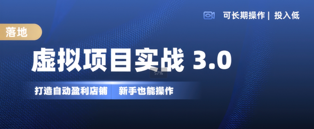 虚拟项目实战3.0，打造自动盈利店铺，可长期操作投入低，新手也能操作_海蓝资源库