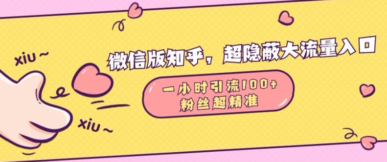 微信版知乎，超隐蔽流量入口1小时引流100人，粉丝质量超高【揭秘】_海蓝资源库