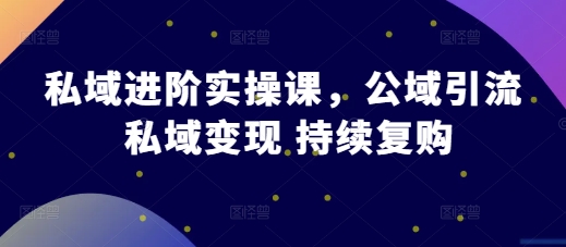 私域进阶实操课，公域引流 私域变现 持续复购_海蓝资源库