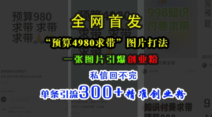 小红书“预算4980带我飞”图片打法，一张图片引爆创业粉，私信回不完，单条引流300+精准创业粉_海蓝资源库