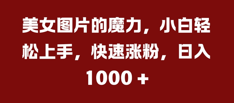 美女图片的魔力，小白轻松上手，快速涨粉，日入几张【揭秘】_海蓝资源库